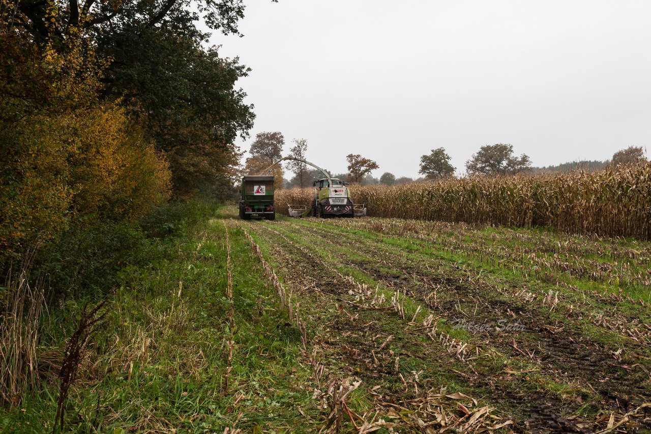 Bild 147 - Biogas am 21.10.12